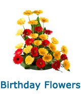 Send Birthday Flowers to India