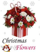 Flowers to India : Christmas Flowers to India