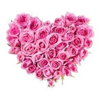 Send Pink Roses Heart 24 Flowers to India
