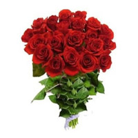 Online Red Roses Bouquet 18 Flowers