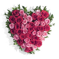 Buy Pink Red Roses Heart 50 Flowers