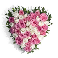 Pink White Roses Heart 50 Flowers Delivery in India