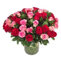Send Red Pink Roses in Vase 50 Flowers