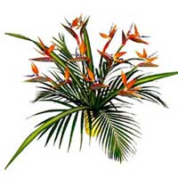 Send Flowers to India Online
