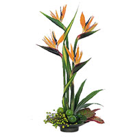 Cheapest Online Flower Delivery in India