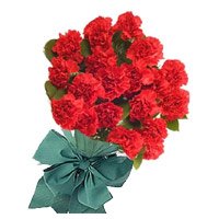 Bouquet of 24 red carnation for Bhaidooj