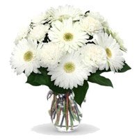 White Gerbera Carnation Vase 18 Flowers for get well soon