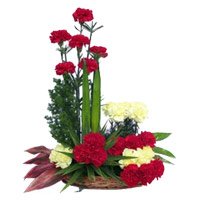 Deliver Rakhi with Red Yellow Carnation Basket 24 Flowers to India
