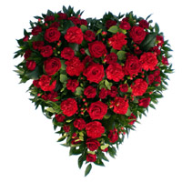 Send 50 Red Roses Carnation Heart Arrangement
