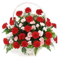Red Pink Carnation Birthday Flowers Basket to India