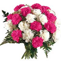 Bunch of 12 pink and white carnation for Bhai Dooj
