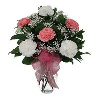 Flower Delivery in Bhuj - Mix Carnation Basket