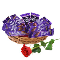 Send 12 Dairy Milk Chocolate Basket With 1 Red Rose Bud Bhai Dooj Gift to India