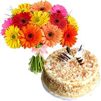 Bouquet of 12 Mix Gerbera, Butter Scotch Father's Day Cake to India