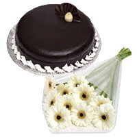 12 White Gerbera 1 Kg Chocolate Truffle Cake Bhai Dooj gift hamper