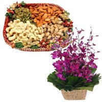 Online Rakhi with Purple Orchids Basket, Assorted Dry Fruits Delivery in India
