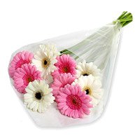 Arrangements of 12 pink and white gerbera Bhai Dooj flowers to India