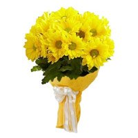 Send Pack of 15 yellow gerbera flowers for Bhai Dooj