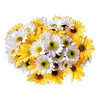 Bouquet of 36 yellow and white gerbera flowers for Bhai Dooj