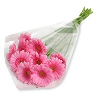 Bhai Dooj Flower Bouquet of 12 pink gerbera