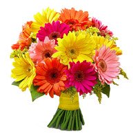 Send Flowers to Cochin