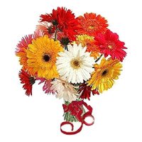 Bhai Dooj Flower Bouquet of 12 mix gerbera