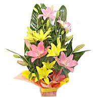 Pink Yellow Lily Basket 6 Flower Stems with Rakhi in India Online