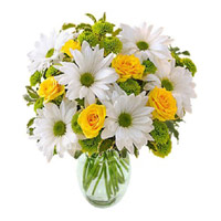 Flower Delivery in Faridabad