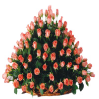 Online Flowers Delivery in India