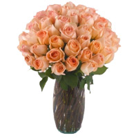 Send Flowers to India Online