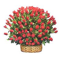Red Roses Basket 250 Flowers for New Year