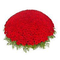 Red Roses Basket 1000 Flowers for New Year