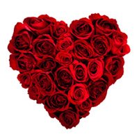 Valentine's Day Flowers to Pallakad