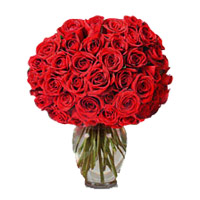 Authentic Love 100 Roses for her