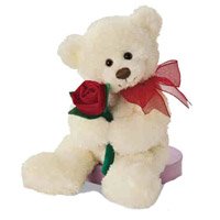 Lovely Valentine's Day Teddy Bear & Rose gift to India
