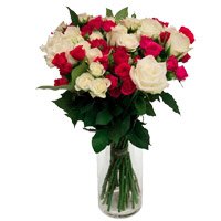 Send White Pink Roses Vase 24 Flowers Delivery in India