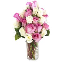 White Pink Roses Vase 25 Flowers to India