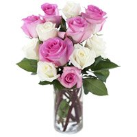 Send Pink White Roses Vase 12 Flowers