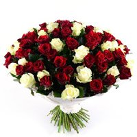 Buy Red White Roses Bouquet 100 Flowers to India