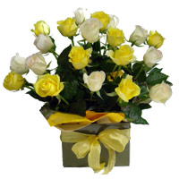 White Yellow Roses Basket 20 Flowers to India