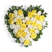 Online Yellow White Roses Heart 50 Flowers