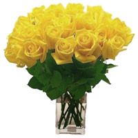 Flowers to India : Yellow Roses