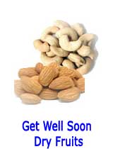 Get Well Soon Dry Fruits to india