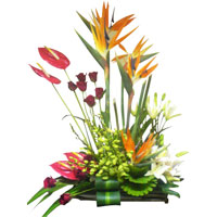 Flowers to India