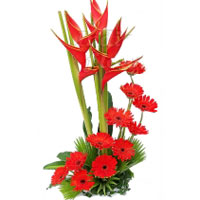 Flowers to India