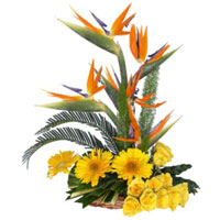 Flowers to India : Send Flowers to India