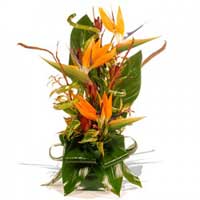 Send Flowers to India
