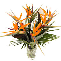 Flowers to India
