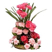 Send Karwa Chauth Gifts to India : Carnation Flowers to India