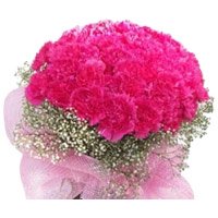 Send Karwa Chauth Gifts to India : Carnation Flowers to India